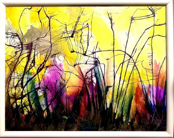 Colors of Nature
