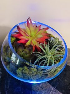 Glass vase with artificial succulents